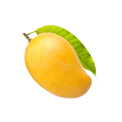 Fruits